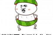 吃瓜表情说明什么